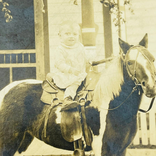 1900s Victorian Photograph Young Toddler Riding Pony Chicago IL 3.5 x 5” C10