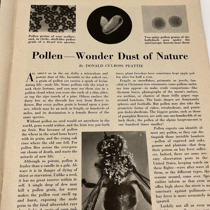 Nature Magazine Oct 1946 - Muskrat Hexom Birds of Shakespeare TH9