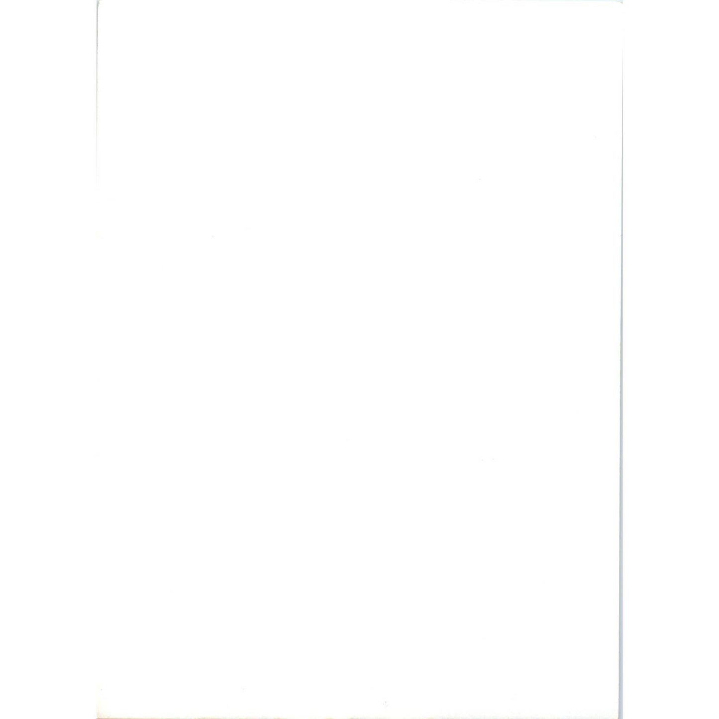 c1970 Original Photo Bagpipe Player Otago Harbour Dunedin New Zealand 5x7 AD6