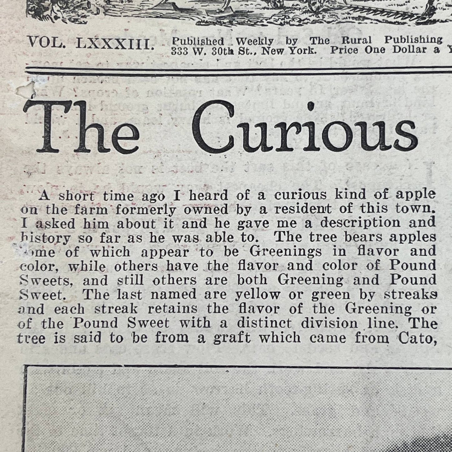 1924 The Rural New Yorker Magazine April 12 The Curious Sweet & Sour Apple FL4