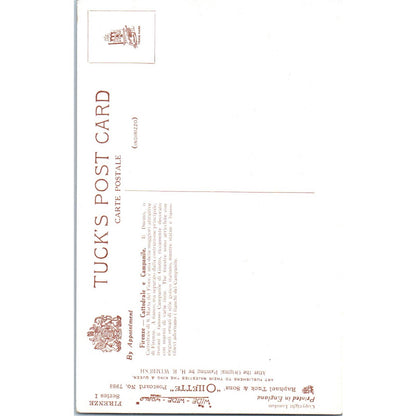 Firenze Cathedral e Campanile Raphael Tuck Oilette Original Postcard TK1-P14