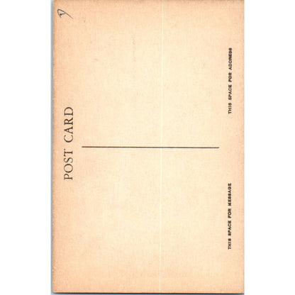 Antique Postcard Park Tower Hudson Ohio TD9