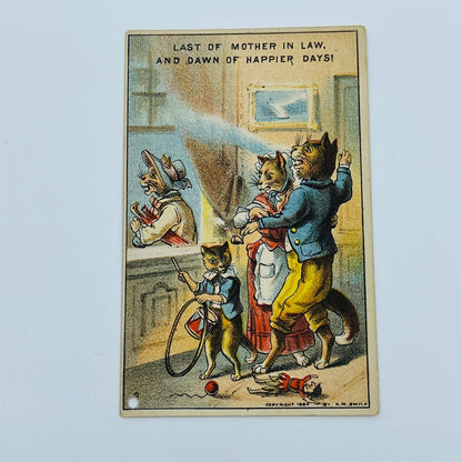 1882 Trade Card Last of Mother in Law Anthropomorphic Cats Brooklyn NY AA2