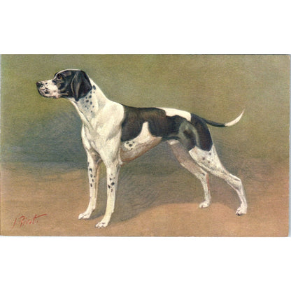 Black & White Pointer Dog Artist Rivst c1910 Original Postcard P1-12