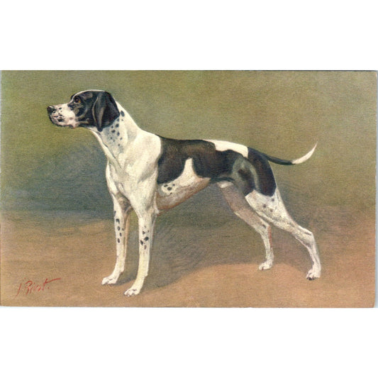 Black & White Pointer Dog Artist Rivst c1910 Original Postcard P1-12