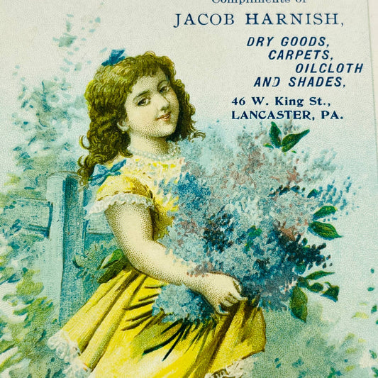 1880s Victorian Trade Card Lancaster PA Jacob Harnish Dry Goods Girl Flowers AA2