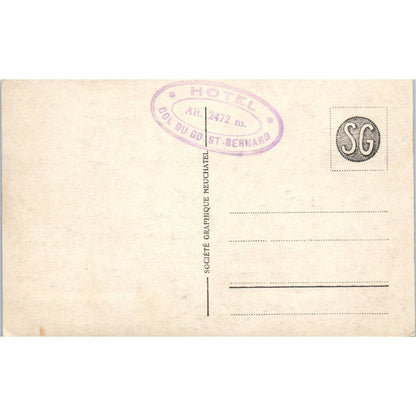 Saint Bernard Dog Litter Puppies Hospice Du Grand RPPC Original Postcard TK1-27