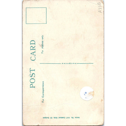 Valentine Greeting I'm An All Round Feller Fat Boy Original Postcard TK1-22