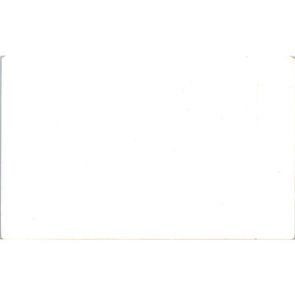 View of Alaskan Waters RPPC Alaska Original Postcard TK1-30