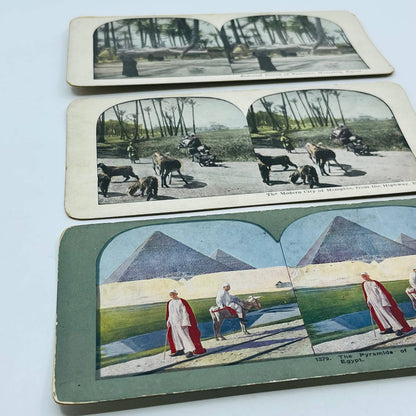 c1890 Lot of 3 EGYPT Stereoview Cards Giza Pyramids Memphis Ramses TA7-29