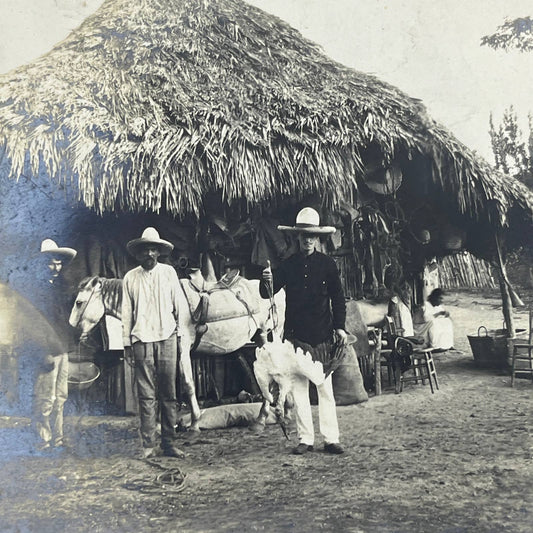 1903 Original Sepia Photograph Native Huts At Tuxpam Mexico AC7-2