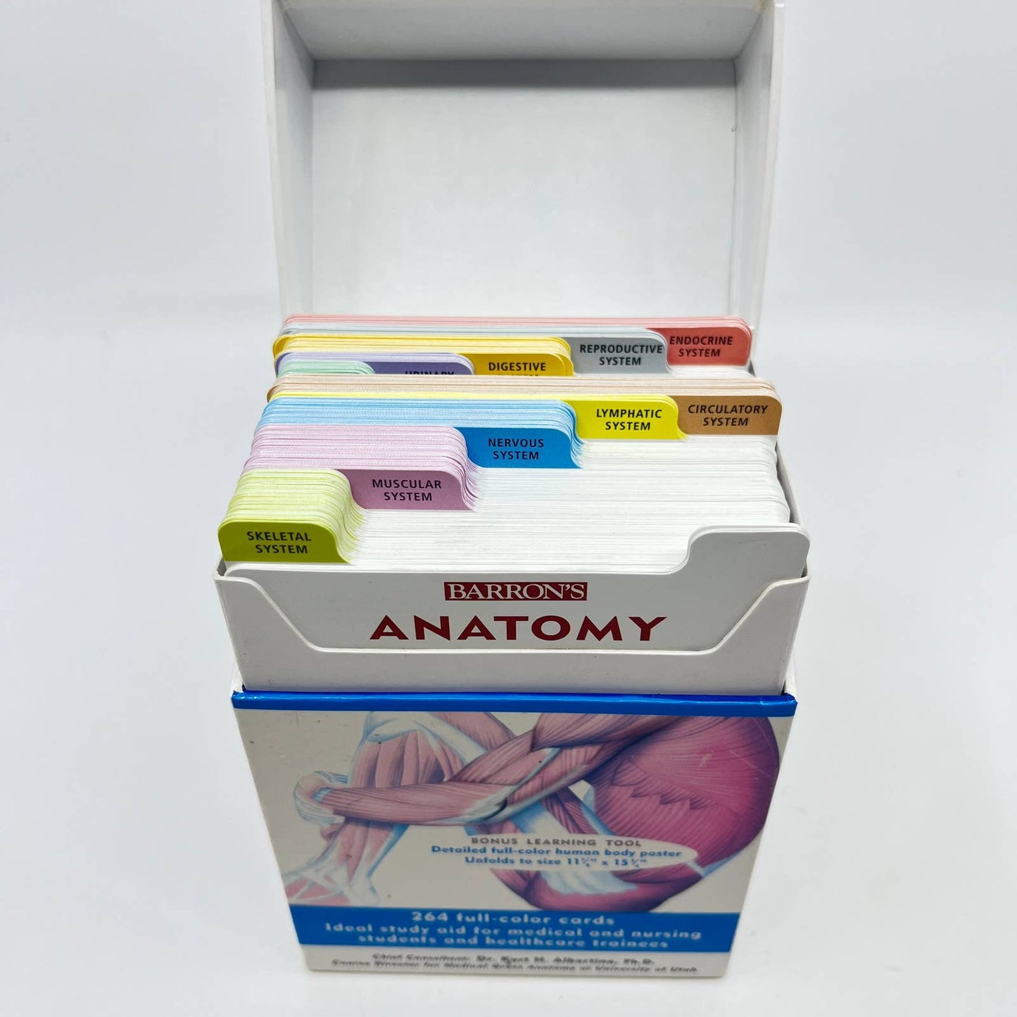 Barron's Anatomy Flash Cards by Kurt Albertine TE5