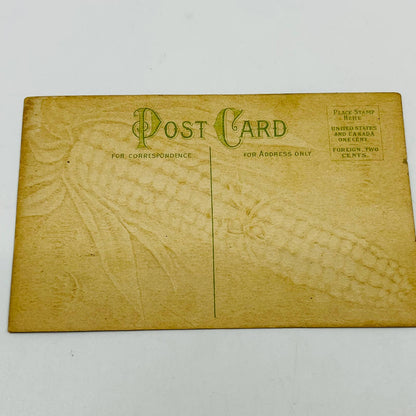 1910s Thanksgiving Post Card Corn Cob Husk Dresden Gilt Embossed PA3