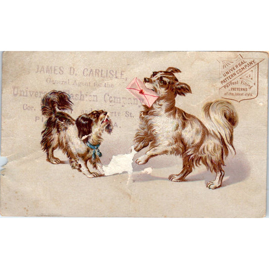 1880s Victorian Trade Card James D. Carlisle Universal Fashion Co. Dogs SF2