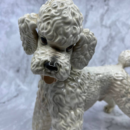 Vintage Large Porcelain Poodle Dog Figurine White w/ Brown Collar 10.5x9.25 TI9