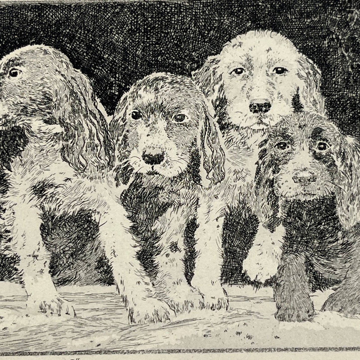 Original Etching Lookin for Santa Claus 4 Cocker Spaniel Dog Winston Haberer AC1