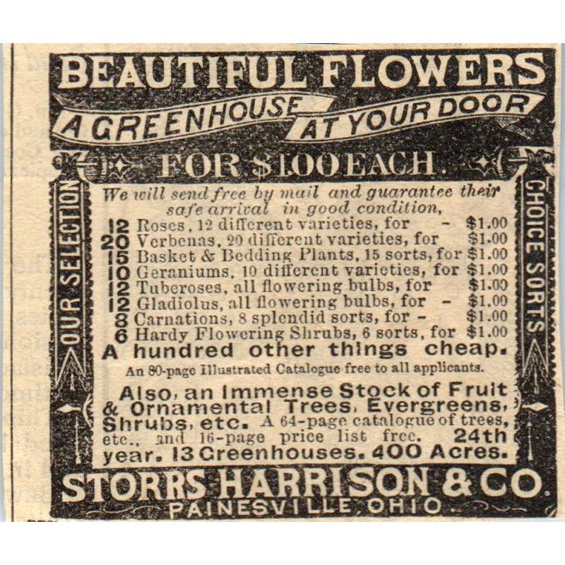 1878 Peterson's Magazine Ad - Flowers Storrs Harrison & Co Painesville OH SF2