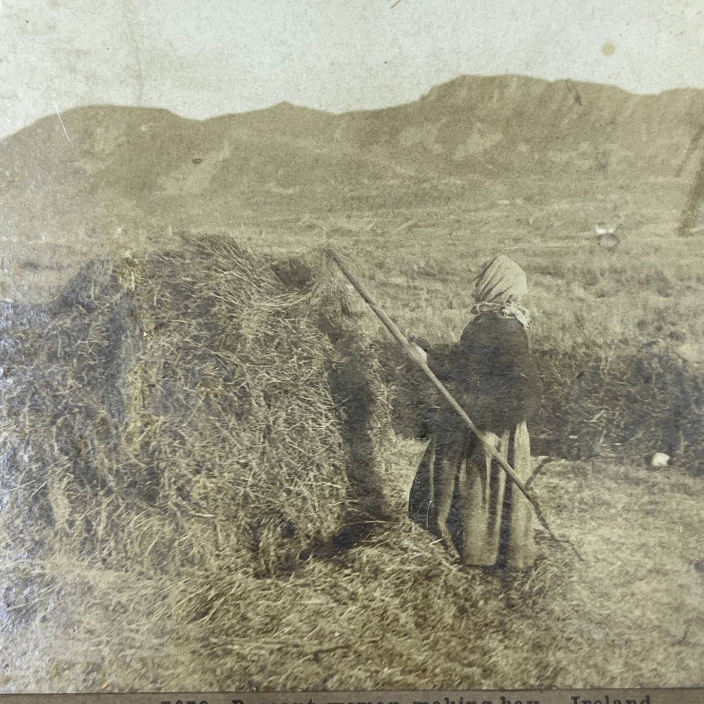 c1900 Stereoview Card Irish Peasant Woman Making Hay Ireland SD6