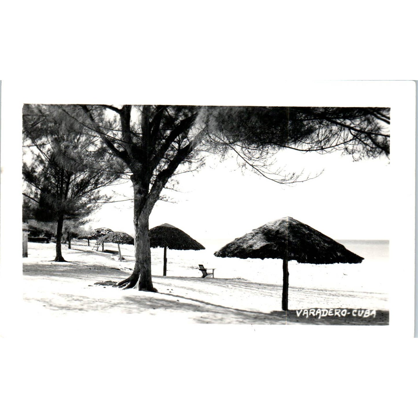 Varadero RPPC Havana Cuba Original Postcard TK1-P16