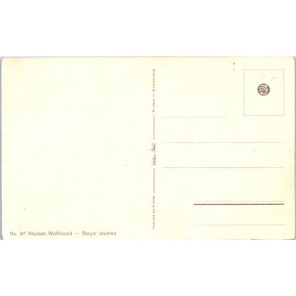 Dog German Shepherd Alsatian Wolfhound Artist Rivst Original Postcard TK1-27