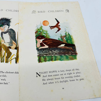 Set of 4 Bird Children MT Ross Litho Double Sided Pages and 1912 Book Cover C7