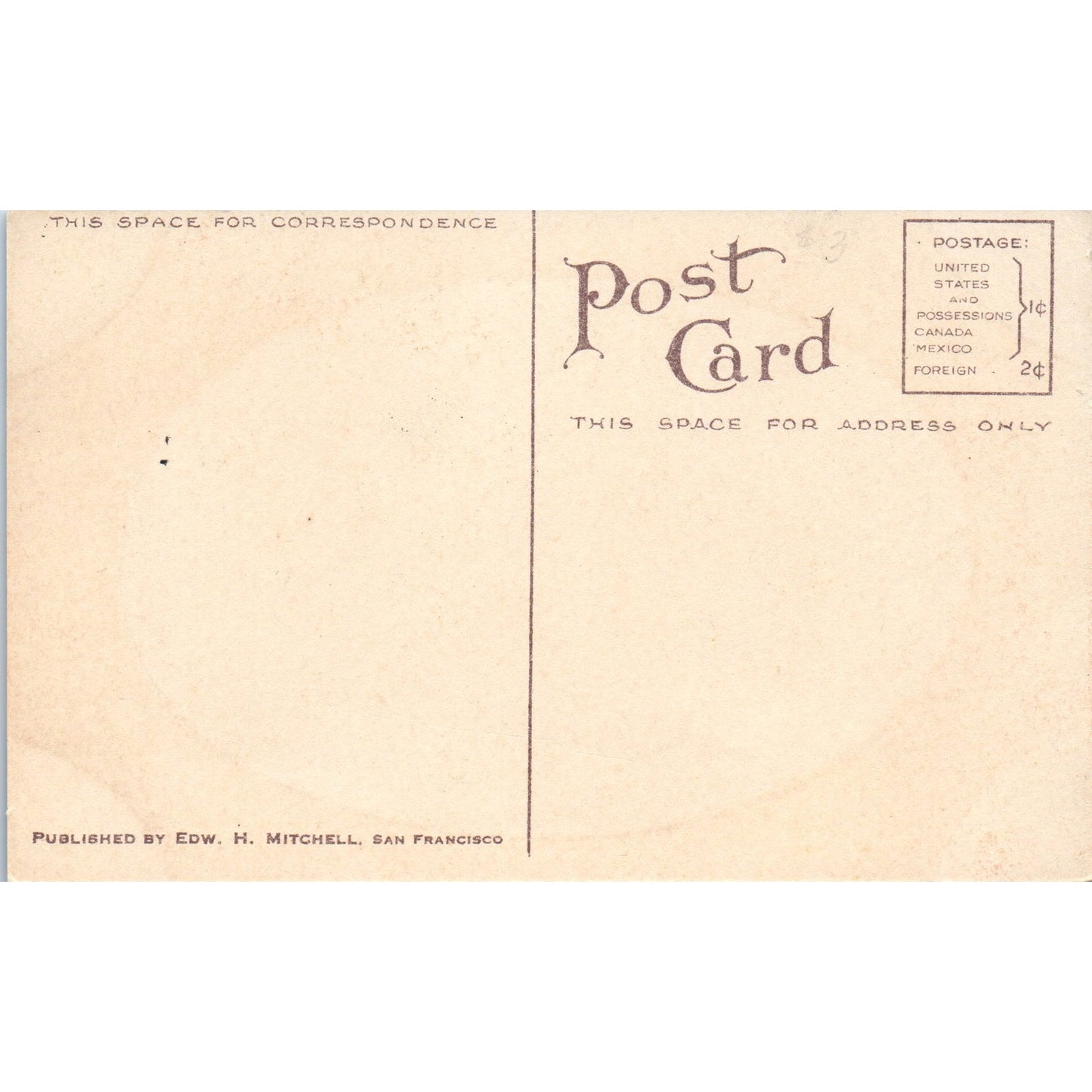 Collie Puppy Dog 1940s Original Postcard P1-12