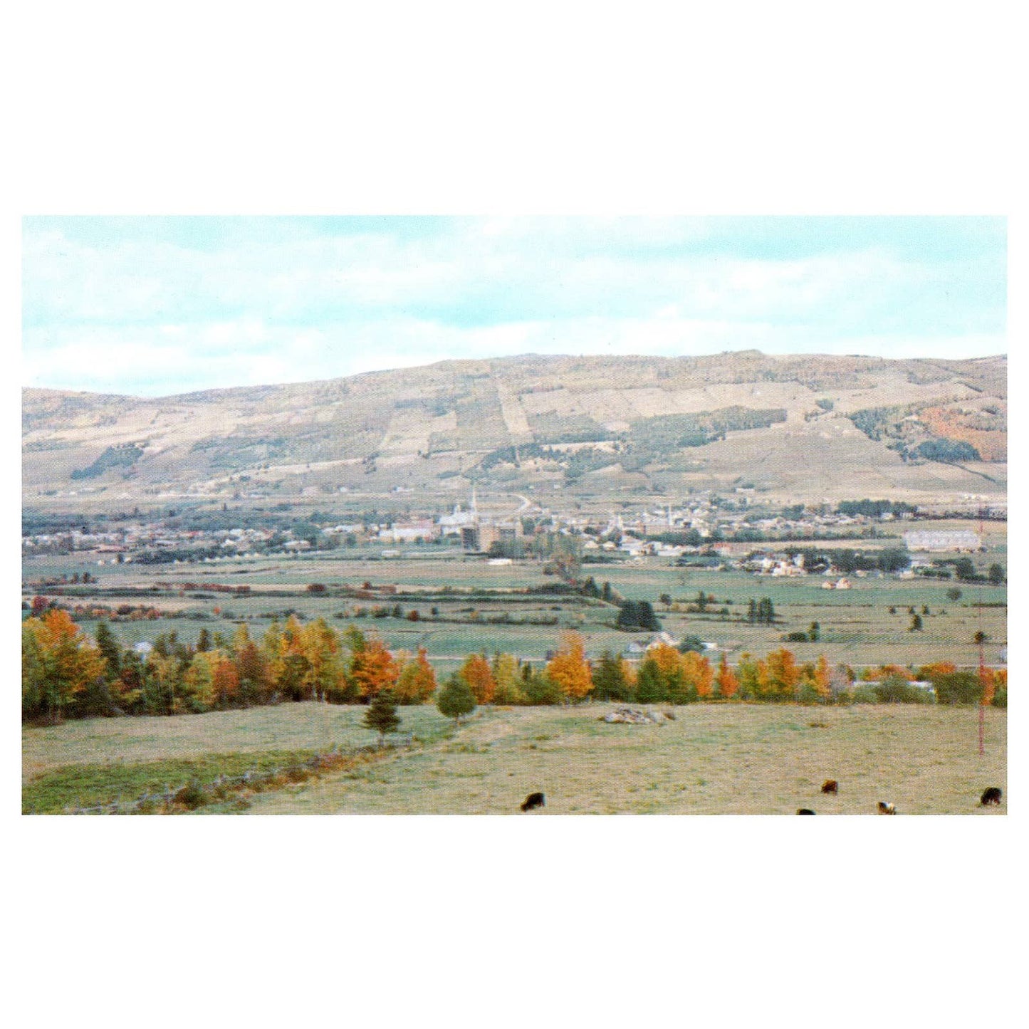 Vintage Postcard - Ville Baie St. Paul Cté Charlevoix Québec TJ7-1