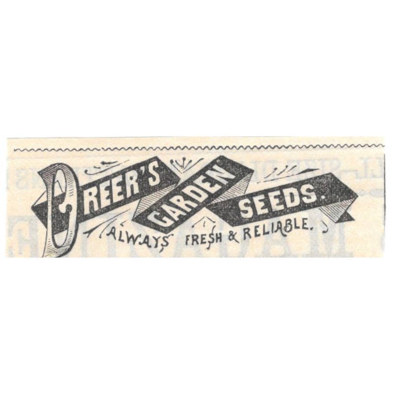 Dreers Garden Seeds Henry A. Dreer Philadelphia - Ad 1878 Original TJ7-L2-4