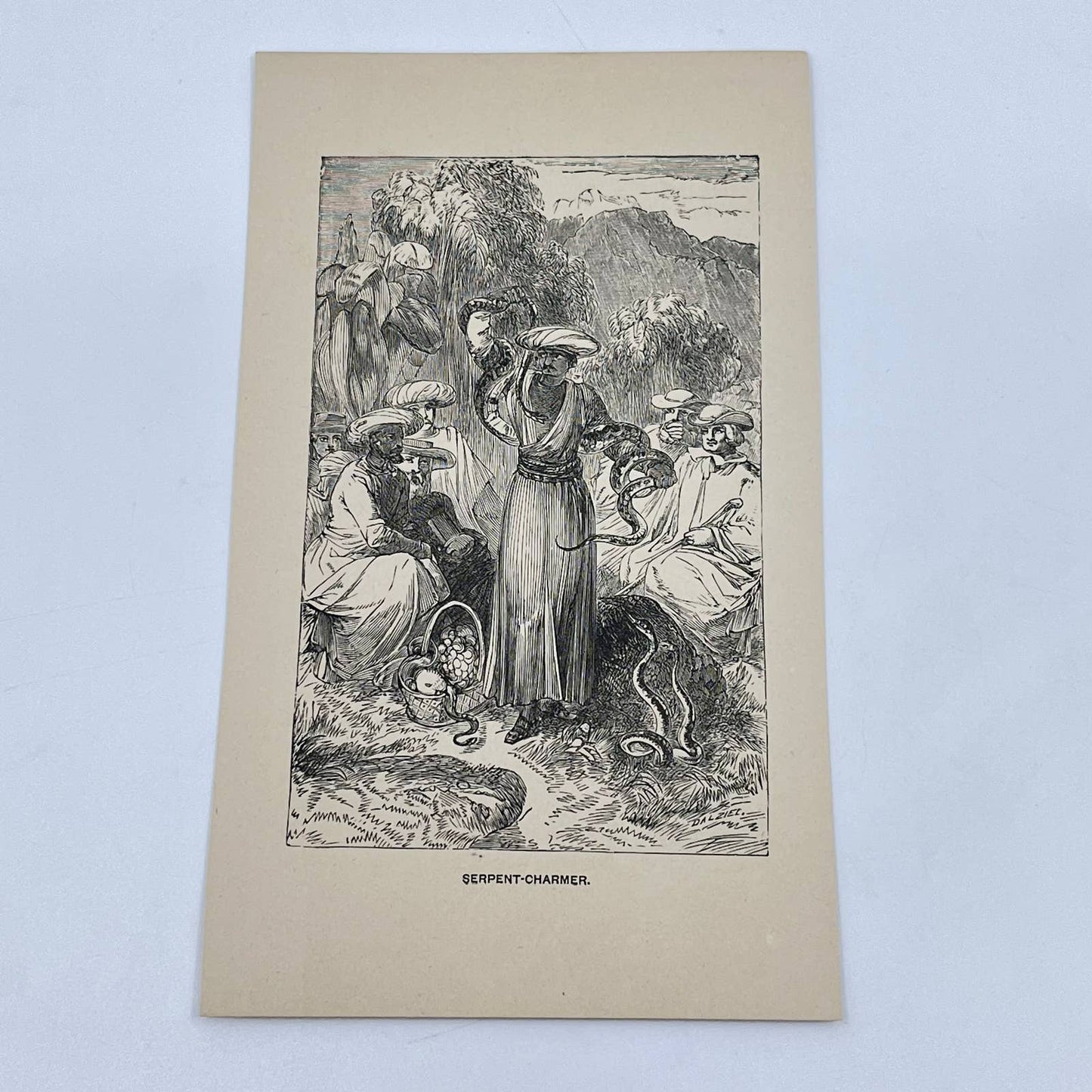 1880s Engraving Art Print Snake Serpent Charmer 3.5 x 6.5 AA8