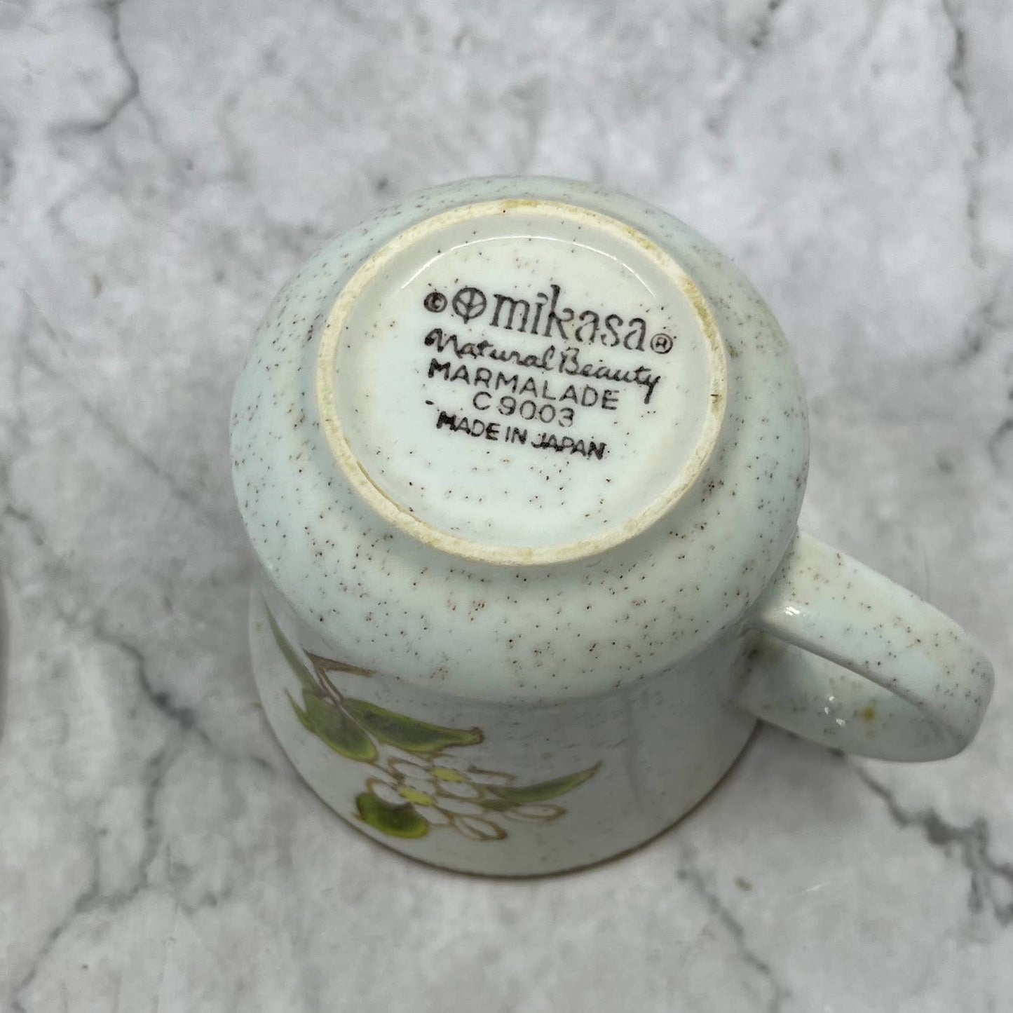 Mikasa Natural Beauty Marmalade Cup and Saucer Set TJ3-1