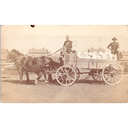 Antique Postcard RPPC Men on Horse Drawn Cart Full of Cabbage SE8