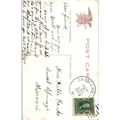 Face in Flower Petunia Dahlias Embossed c1909 Original Postcard TK1-27