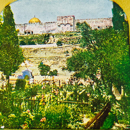 c1890 Lot of 8 Stereoview Cards Pictures PALESTINE JERUSALEM PRE-ISRAEL TA7-26