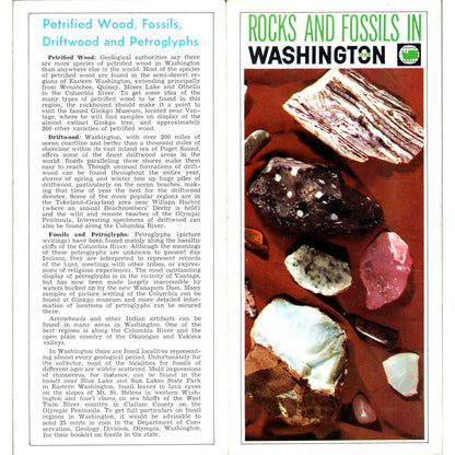 1960s Rocks and Fossils in Washington State Fold Out Brochure SF3