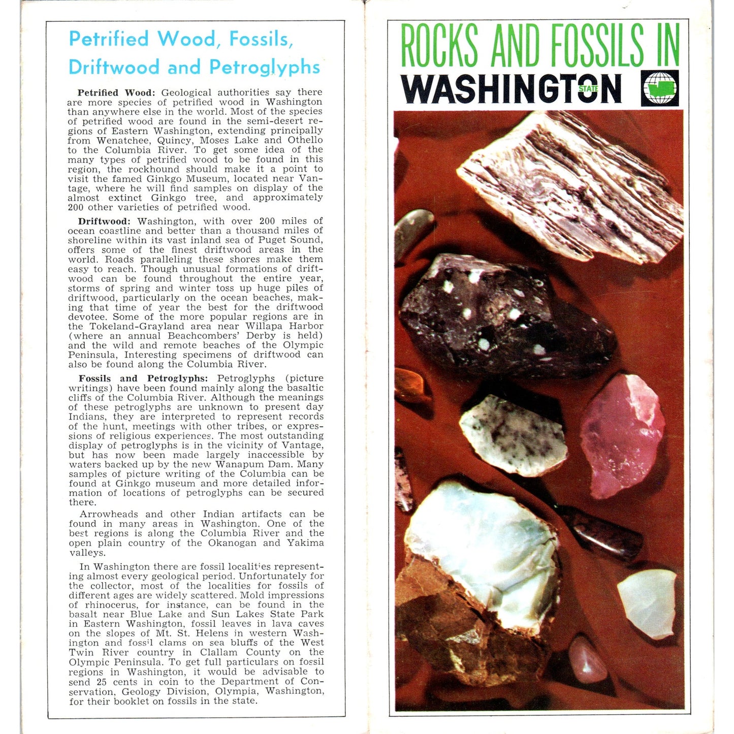 1960s Rocks and Fossils in Washington State Fold Out Brochure TH2-SF1