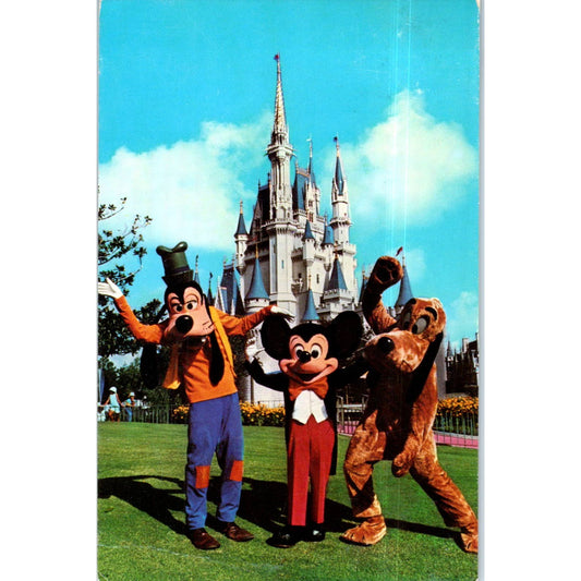 Mickey Mouse, Goofy and Pluto Walt Disney World Original Postcard TK1-P12