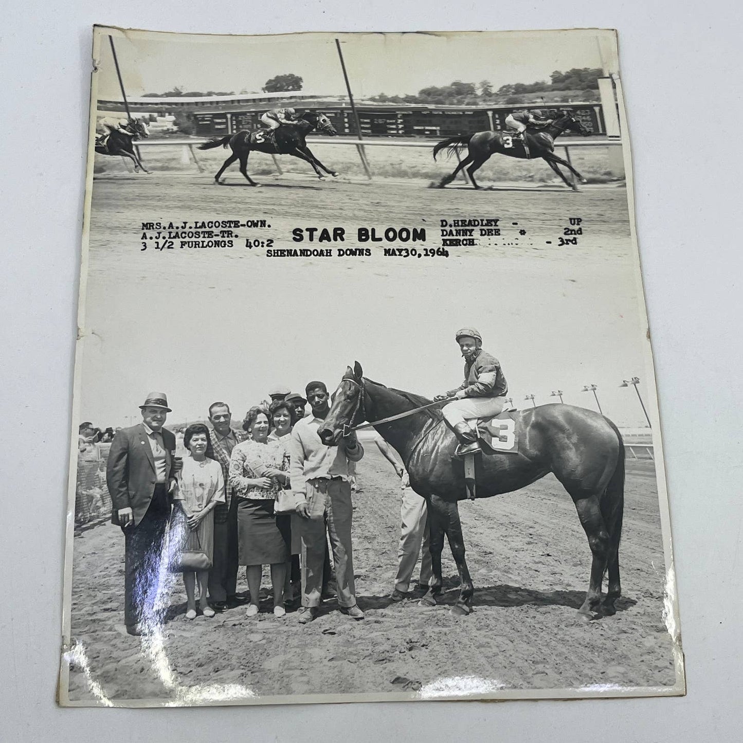 1964 Original Horse Race Winner Photo "Star Bloom" Shenandoah Downs AC5