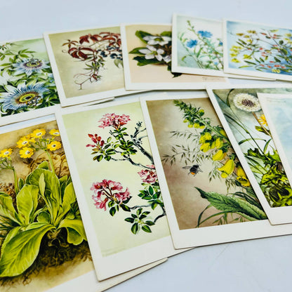 1960s MARIANNE SCHNEEGANS Prints POSTCARDS, LOT OF 10 Floral Flower Prints EA2