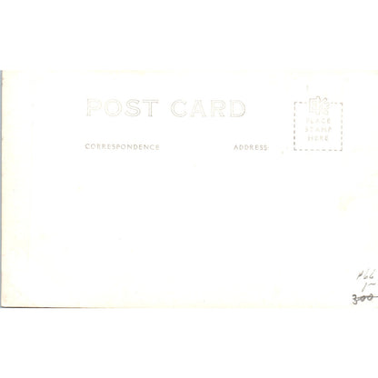 Lechwe Group Simson African Hall CA Academy of Sciences RPPC Postcard P2-7