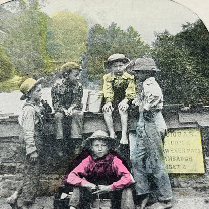 c1890 Lot of 6 Stereoview Cards Hand Tinted Pictures VICTORIAN CHILDREN TA7-15