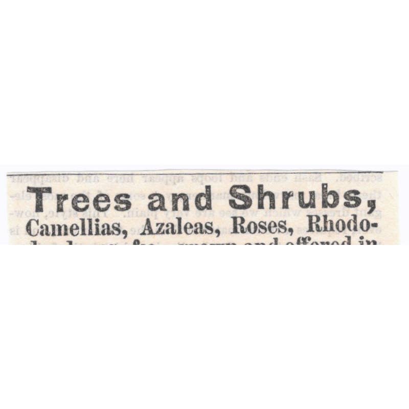 Trees and Shrubs R.B. Parsons & Co. Flushing LI - Ad 1878 Original TJ7-L2-1