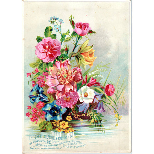 1885 Large Trade Card - The Great Atlantic and Pacific Tea Co. Flowers AD6