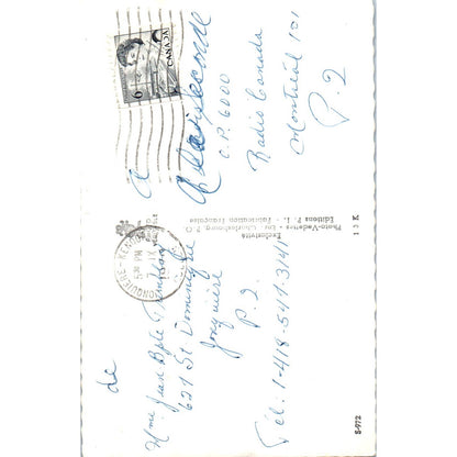 Beatrice Picard Movie Star Photo Portrait Original Postcard TK1-25