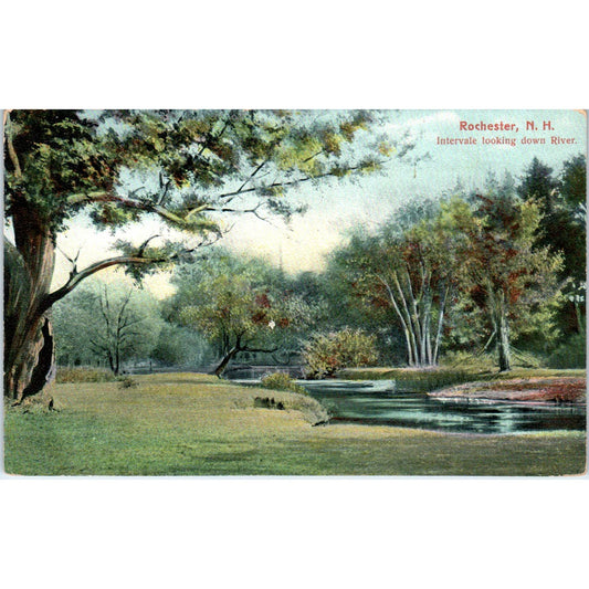 Rochester NH Intervale Looking Down River 1908 Original Postcard TJ9-P2