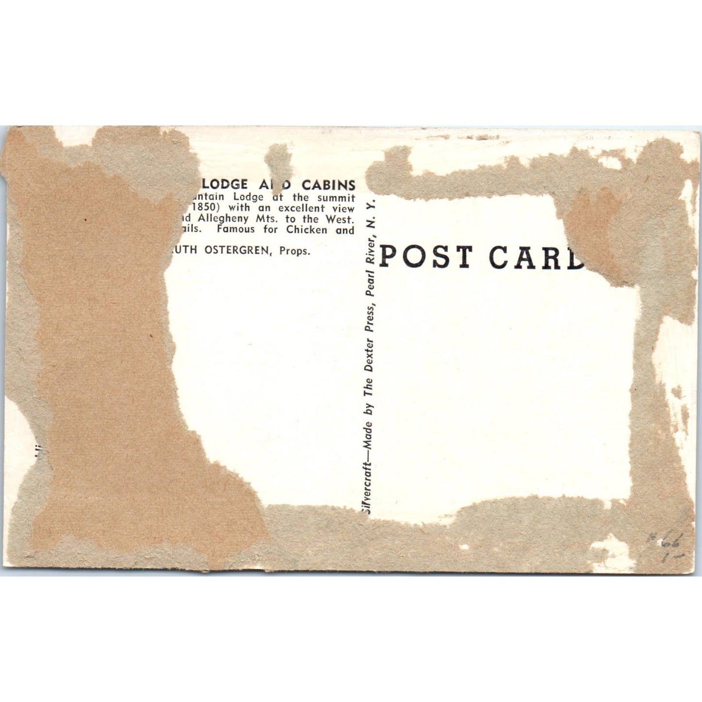 Mount Top Haven New Market Virginia Original Postcard TK1-20