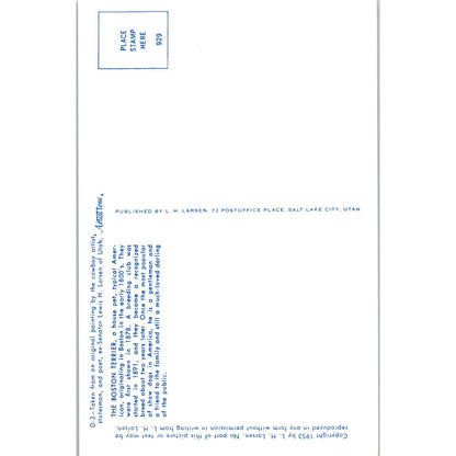 Lewis H. Larsen 1953 The Boston Terrier Painting Original Postcard TK1-27