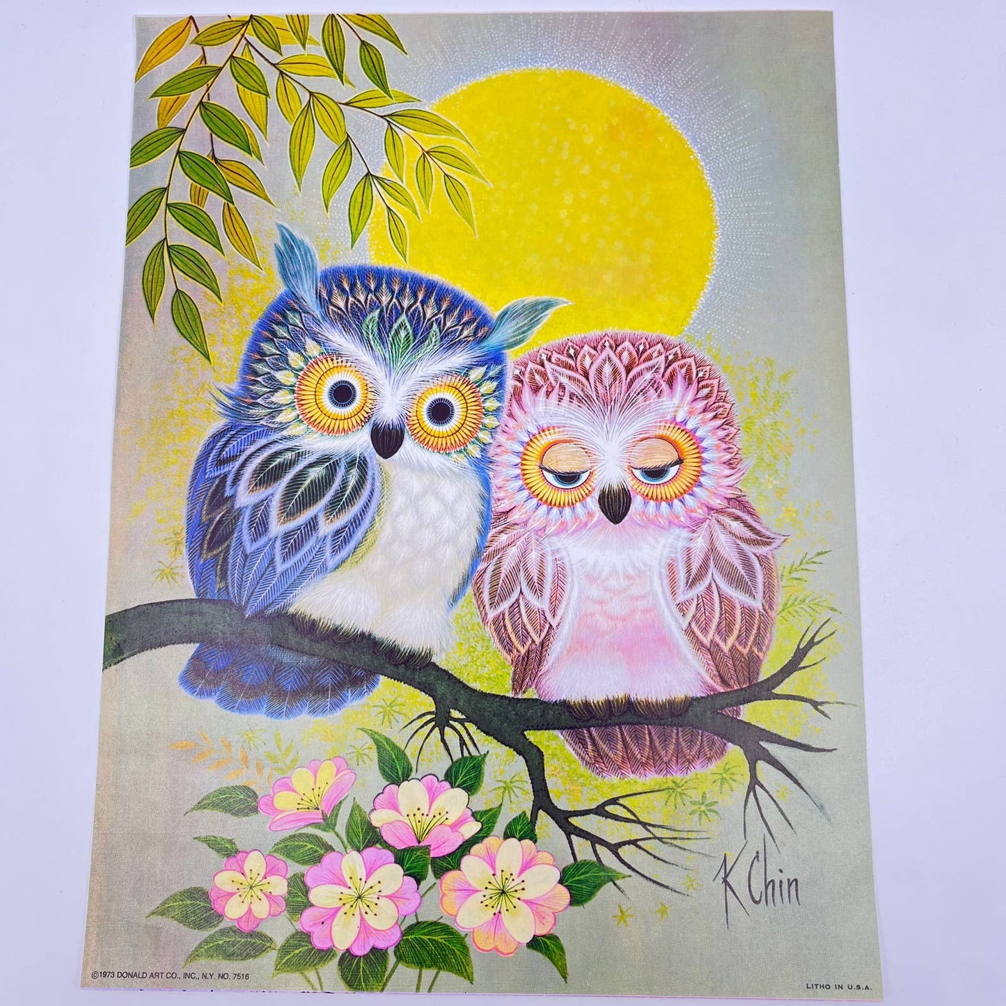 1973 Kitschy Donald Art Co. Boy & Girl Owl in Tree Lithograph K Chin 9 x 12” FL3