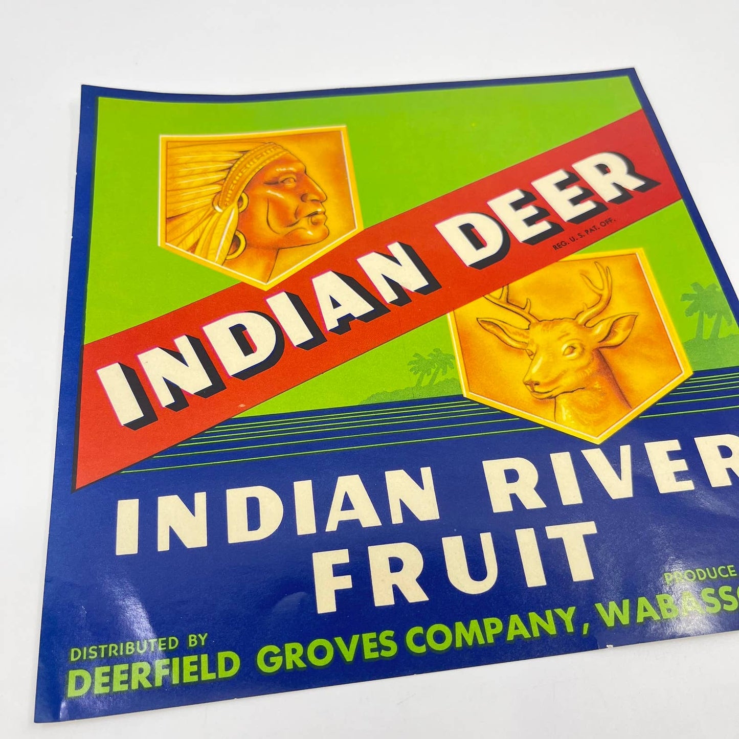 Original vintage Florida citrus crate label c1940s Indian Deer Wabasso  FL3