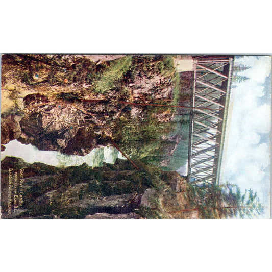 Goat River Canyon Elko BC Canadian Pacific Railway c1910 - Postcard TJ9-P1
