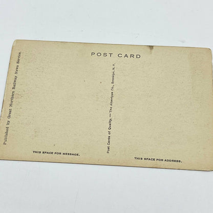 1910s Post Card Wenatchee Washington Apple Orchard in Bloom SC9